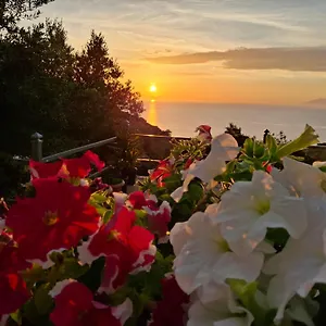 https://amar-seaside.albaniahotels.org
