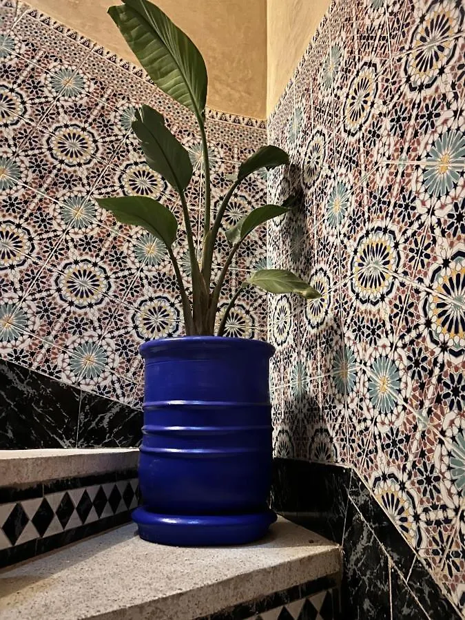 Riad Khoya Magnifique Marrakesh